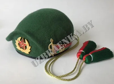 Берет женский, шапка, головной убор, вязаная, зимний, теплый, шапки 2  слойный, подарок купить по низким ценам в интернет-магазине Uzum (824289)