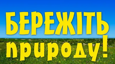 Эко сумка Gifty "Берегите природу, мать вашу" L бежевая - 690 грн купить в  подарок в Киеве и Украине от UAmade, код: 72077