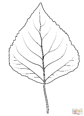 Листья березы трафарет - 50 фото