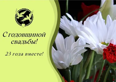 Медаль серия "Подарки на годовщину свадьбы" Берилловая свадьба: 23 года  вместе", латунь купить по выгодной цене в интернет-магазине OZON (508639156)