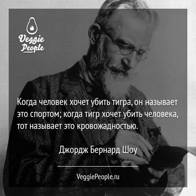 Тот, кто умеет, тот делает, кто не умеет — тот учит других." Джордж Бернард  Шоу. Цитаты и факты из жизни. | Книги. Мотивация. Цитаты | Дзен