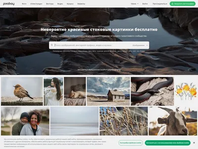 Web Design Изображения – скачать бесплатно на Freepik