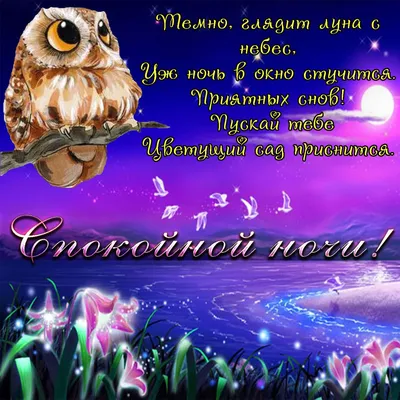 Необычные картинки "Спокойной ночи!" (190 шт.)