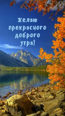 Открытка с пожеланиями с добрым утром, с новым днем. Скачать бесплатно. ‣  Видео поздравления