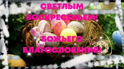 С ПАСХОЙ ПОЗДРАВЛЕНИЕ! 🐣🌟 ХРИСТОС ВОСКРЕС! #пасха2023 - YouTube