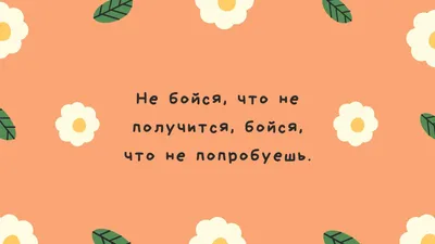 Открытки с пожеланиями спокойной ночи - скачайте бесплатно ... | Смешные  счастливые дни рождения, Веселые картинки, Веселые шутки