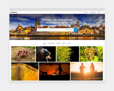 ТОП-10 бесплатных стоков, где легко найти изображения для сайта ✔️ Блог  Webpromo