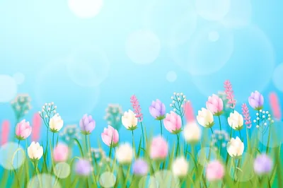 Весна картинки Изображения – скачать бесплатно на Freepik