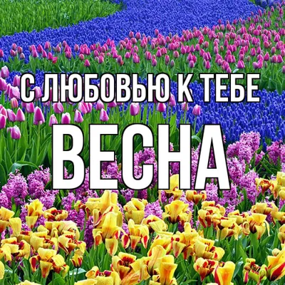 Бесплатные весенние обои для рабочего стола