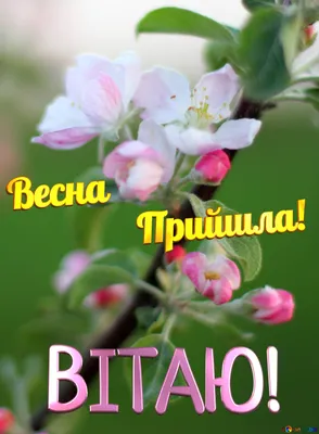 Весна Прийшла! Free Image - 2562