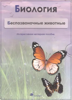 Второй шанс" - блог учителя биологии и химии Носовой Елены Юрьевны.: Урок  по теме "Беспозвоночные" для 5 класса ФГОС.