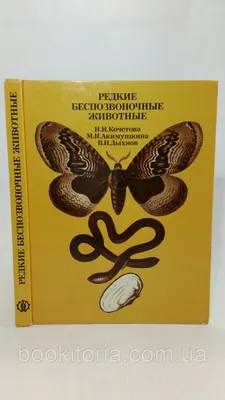 Кочетова Н. и др. Редкие беспозвоночные животные (б/у).: продажа, цена в  Днепре. Книги по естественным и техническим наукам от "Букитория" -  1432526916