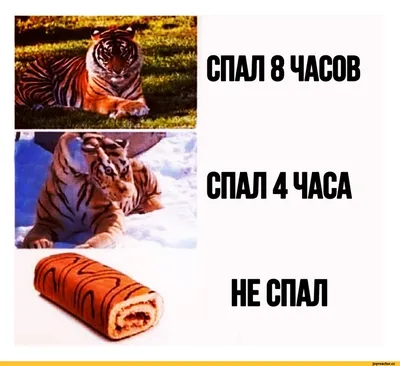 Бессонница: Все, что вам нужно знать - Невролог, Психотерапевт - Киев