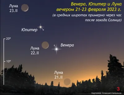 Волгоградцы готовят для бойцов СВО подарки к 23 Февраля