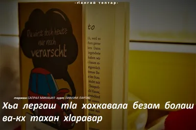 Фото: Къоман Безам, кафе, просп. Ахмат-Хаджи Абдулхамидовича Кадырова,  74/100, Грозный — Яндекс Карты