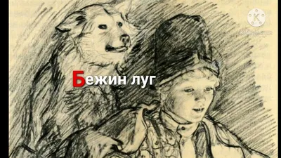 Бежин луг. Муму | Тургенев И. - купить с доставкой по выгодным ценам в  интернет-магазине OZON (172904794)