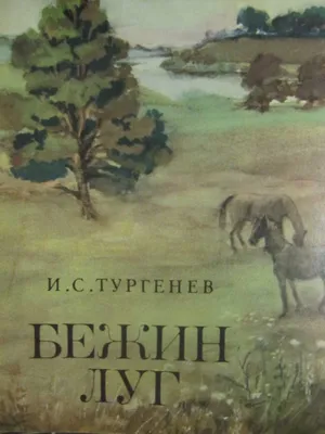 Бежин луг, Тургенев Иван Сергеевич купить по низким ценам в  интернет-магазине Uzum (614671)