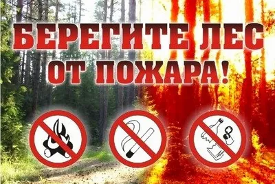 Правила безопасности в лесу. Одевайте в лес одежду ярких цветов, желательно  со светоотражающими элементами. Не отпускайте престарелых людей и детей в  лес без сопровождающих. Не ходите по лесу поодиночке: возьмите с собой