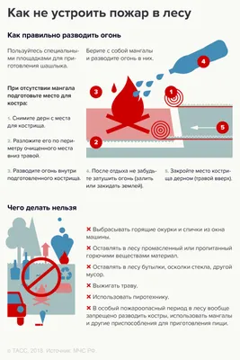 ПРАВИЛА ПОВЕДЕНИЯ В ЛЕСУ - Новости