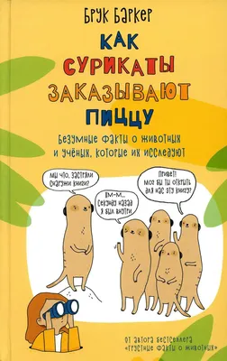 Книга "Натвори что хочешь! Безумные идеи" КН-978-5-00100-519-3 - купить в  Москве в интернет-магазине Красный карандаш