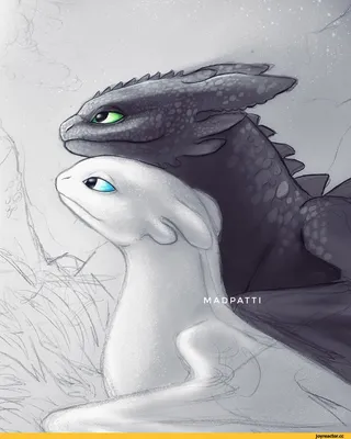 Беззубик (Toothless) :: Дневная Фурия (Light Fury) :: Как приручить дракона  3 (How to train your dragon 3, HTTYD 3,) :: Как Приручить Дракона (How to  Train Your Dragon, HTTYD) :: DreamWorks ::