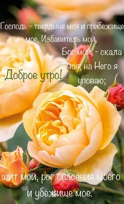 Пин от пользователя Соломія на доске Вірші з Бібліі | Христианские цитаты,  Христианские картинки, Счастливые картинки