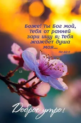 Pin by Христианские открытки on Доброго времени суток | Biblical verses,  Good morning, Verses