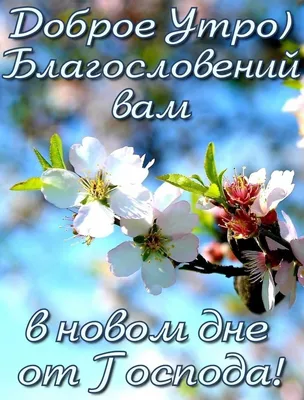 Православные картинки с добрым утром и хорошим днем со смыслом (50 фото) »  Красивые картинки, поздравления и пожелания - 