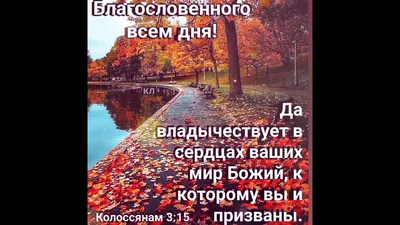 🌻. 🌿. 🌻 | Доброе утро, Счастливые картинки, Христианские картинки