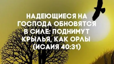 Библейские рассказы. Благословение Иакова | "Сибирская католическая газета"