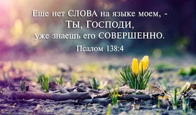 Pin von Ирина Дёмина auf Красивые картинки со стихами из Библии. | Bibel  vers, Die bibel, Bibelverse