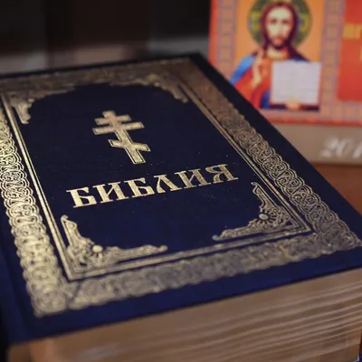 Russian Bible for Children. Illustrated Bible for Children.  Иллюстрированная Библия для детей. Иллюстрации Густаво Мазали: УБТ:  9789664121405: : Books