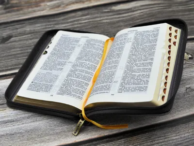 Библия: что было «на самом деле»? — купить книгу Андрея Сергеевича  Десницкого на сайте 