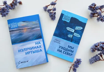 Автор своей жизни — человек»: презентация книги Л. Ростовой «Откровение» |  Литературная карта города Новосибирска и Новосибирской области