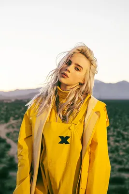 Ростовая фигура Билли Айлиш (Billie Eilish) вид 3 (586x1700 мм) - купить по  выгодной цене | Магазин шаблонов Принт100