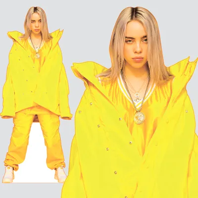 Топ-8 фактов о Billie Eilish | MINIMaL | Дзен