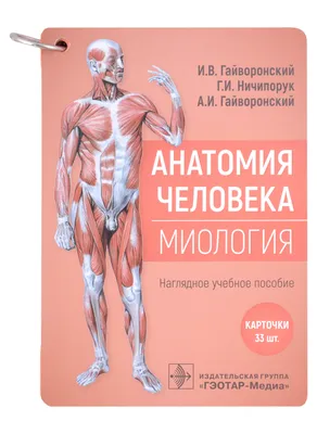  - Анатомия человека. Атлас. Том 2. Спланхнология |  Колесников Л.Л. | 978-5-9704-7204-0 | Купить русские книги в  интернет-магазине.