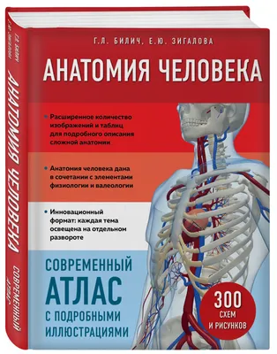 Иллюстрация 2 из 69 для Биология. Человек. 8 класс. Учебник. Вертикаль.  ФГОС - Колесов, Беляев, Маш |