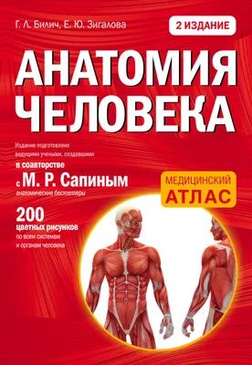 Анатомия человека: 2 издание (Габриэль Билич, Елена Зигалова) - купить  книгу с доставкой в интернет-магазине «Читай-город». ISBN: 978-5-69-984623-8