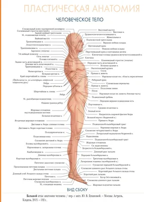 Биология человека