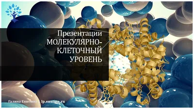 Презентация программ «Естествознание, биология» и «Биология, иностранный  язык» - МГПУ