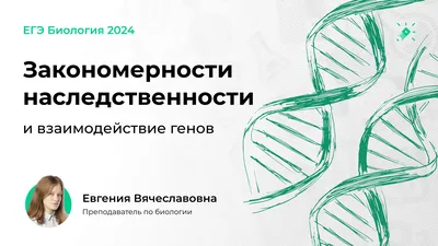 Биология - Подготовка к ЕГЭ 2024 для 10 класса — 10 класс