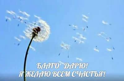Я благодарна... от души благо дарю! (Нурия Зайнутдинова) / Стихи.ру