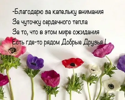 благодарю БЛАГОДАРЮ - Благодарность - Повседневная анимация - Каталог  файлов - Dale #yandeximages | Открытки, Поздравительные открытки, Открытки  ко дню рождения