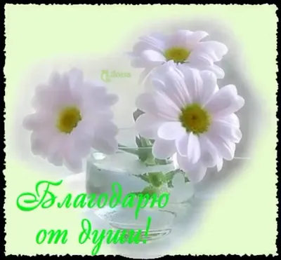 Как сказать на Немецкий? "Благодарю от всей души, для меня это бесценно. "  | HiNative