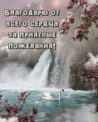 Акция: Благодарю! Россия - одна семья