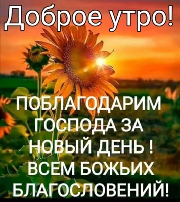 Спасибо Богу. Благодарность. Утренняя хвала. Важное напоминание: "Не  забывай благодарить Бога. Он же не забывает будить тебя … | Affirmations,  Grateful, Development