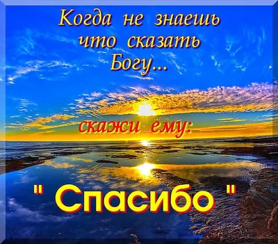 спасибо #Богу за тебя #любимыймуж #любовь #счастье | TikTok