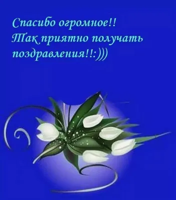 Александр Иванович Бастрыкин поблагодарил за поздравления с днем рождения |  Информационный центр СК России | Дзен