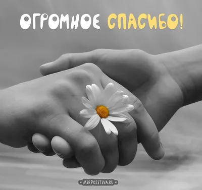 ЯП файлы - БЛАГОДАРОЧКА